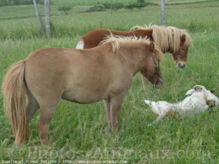 c'est pas mignon,r�pondez moi ???????????